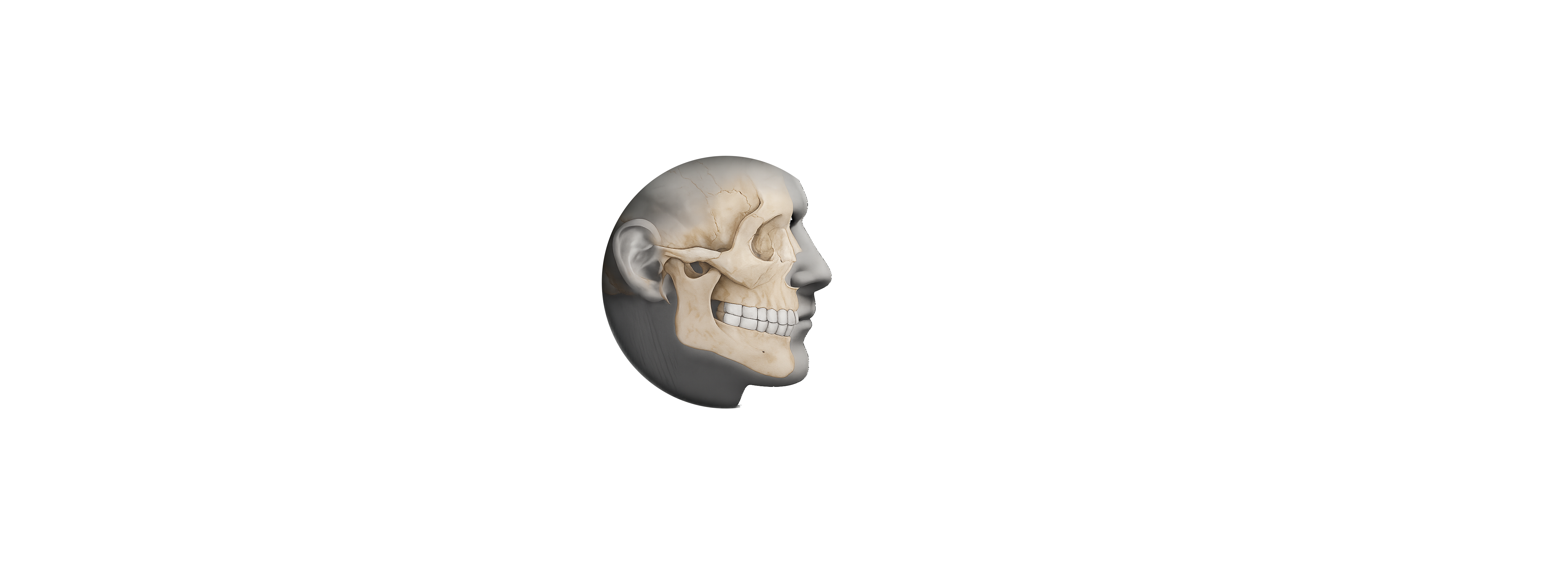 AROMS Navbar Icon